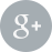 Google +